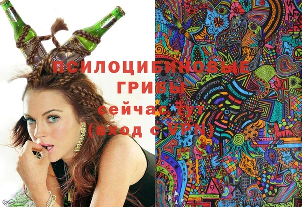 гашик Армянск